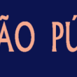 articulo asbel - copia